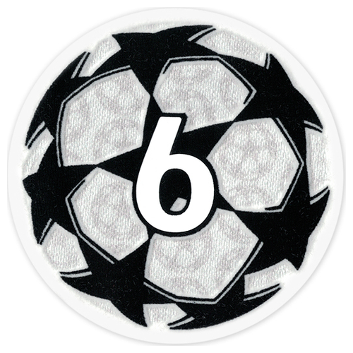 UEFA Badge of Honour 6